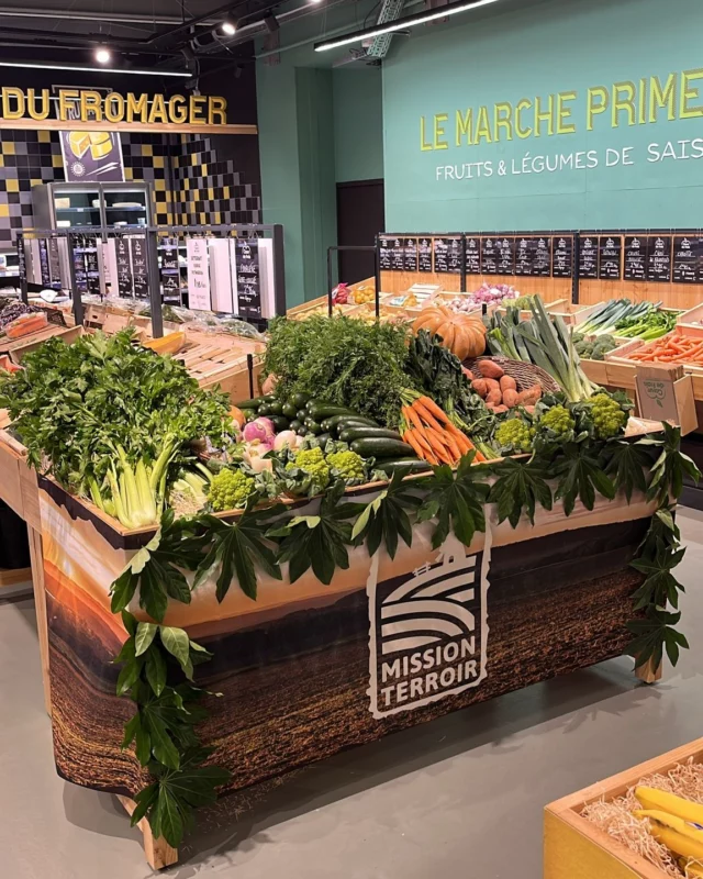 🥕 C'EST LA SAISON 🥕
Découvrez nos légumes de saison en magasin. Poireaux, carottes, navets, choux ... Quelles recettes vous inspirent-ils ? 
#coeurdefrais #legumes #legumesautomne #desaison